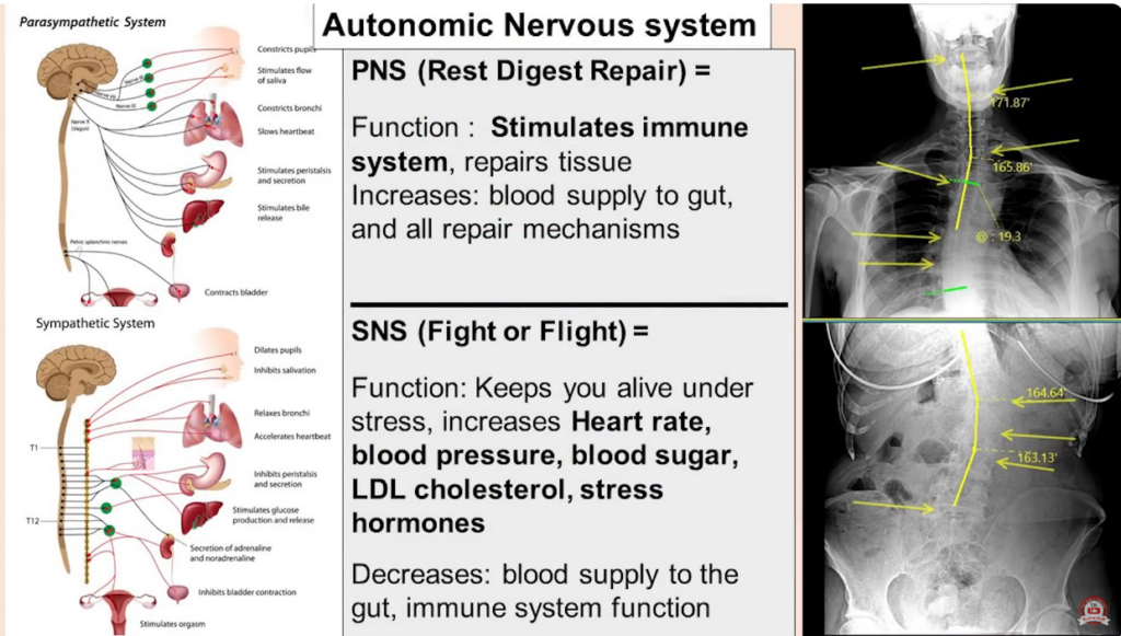 Physical Stress